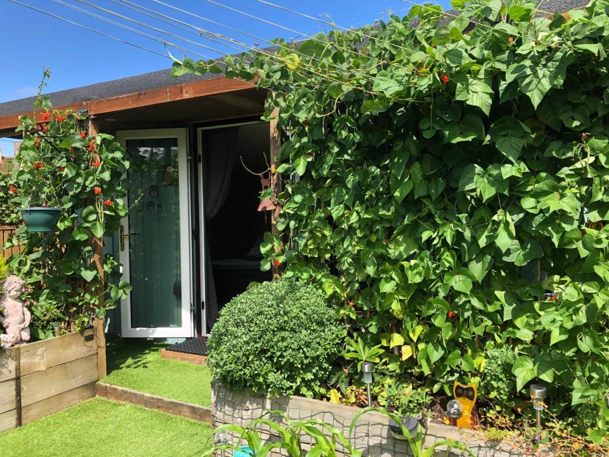 반스테이플 Owly 'Ouse B&B 외부 사진