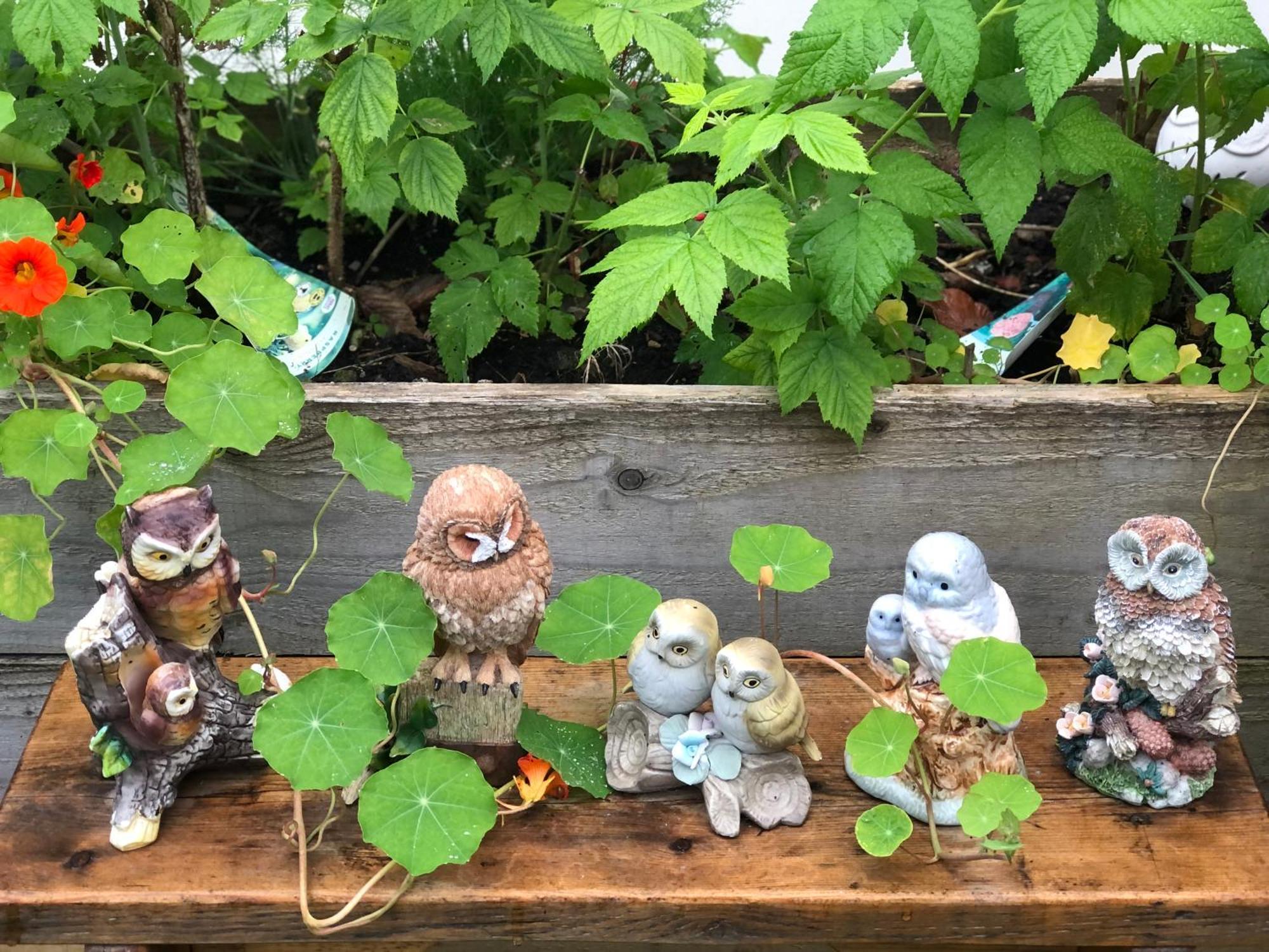 반스테이플 Owly 'Ouse B&B 외부 사진