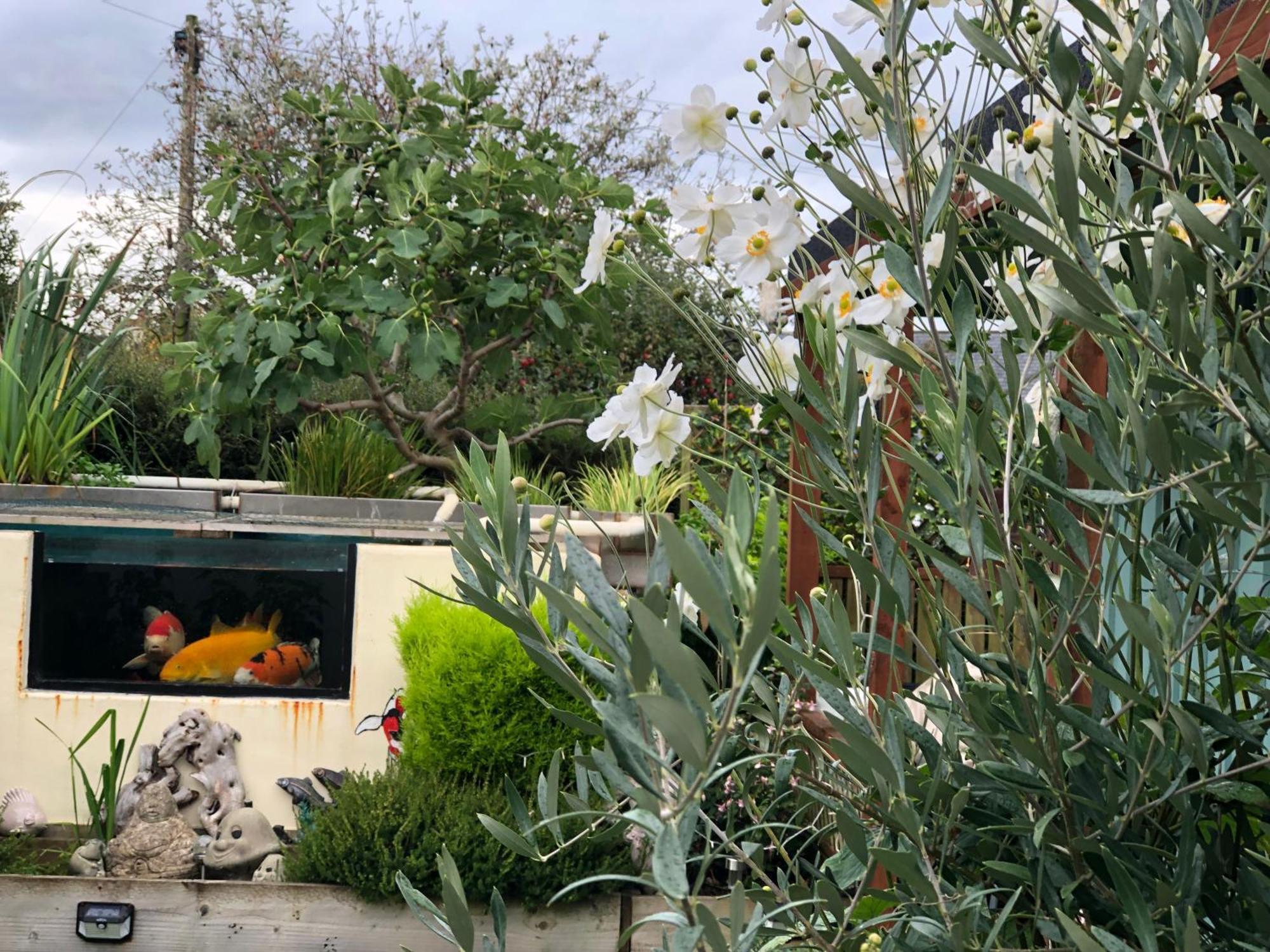 반스테이플 Owly 'Ouse B&B 외부 사진